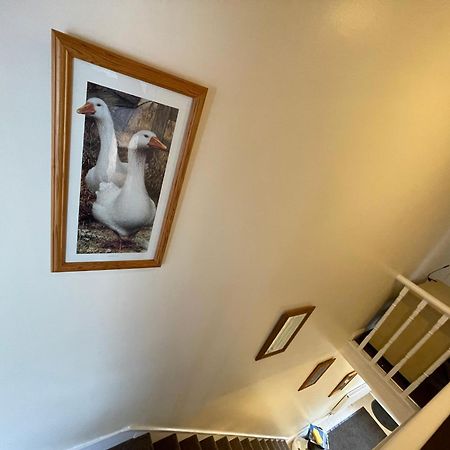 スウィンドンBeanies Lornestreet Four Bed Houseアパートメント エクステリア 写真