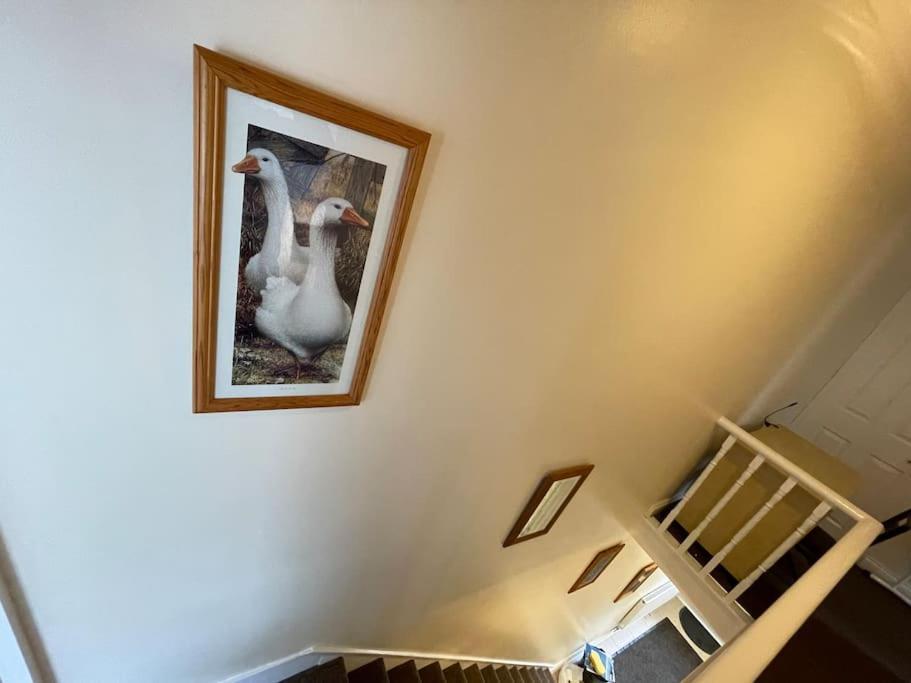 スウィンドンBeanies Lornestreet Four Bed Houseアパートメント エクステリア 写真